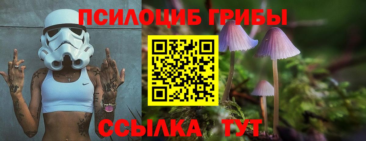 Ульяновск  Псилоцибиновые грибы Psilocybine cubensis  Галлюциногенные грибы мухоморы  Вход с VPN 